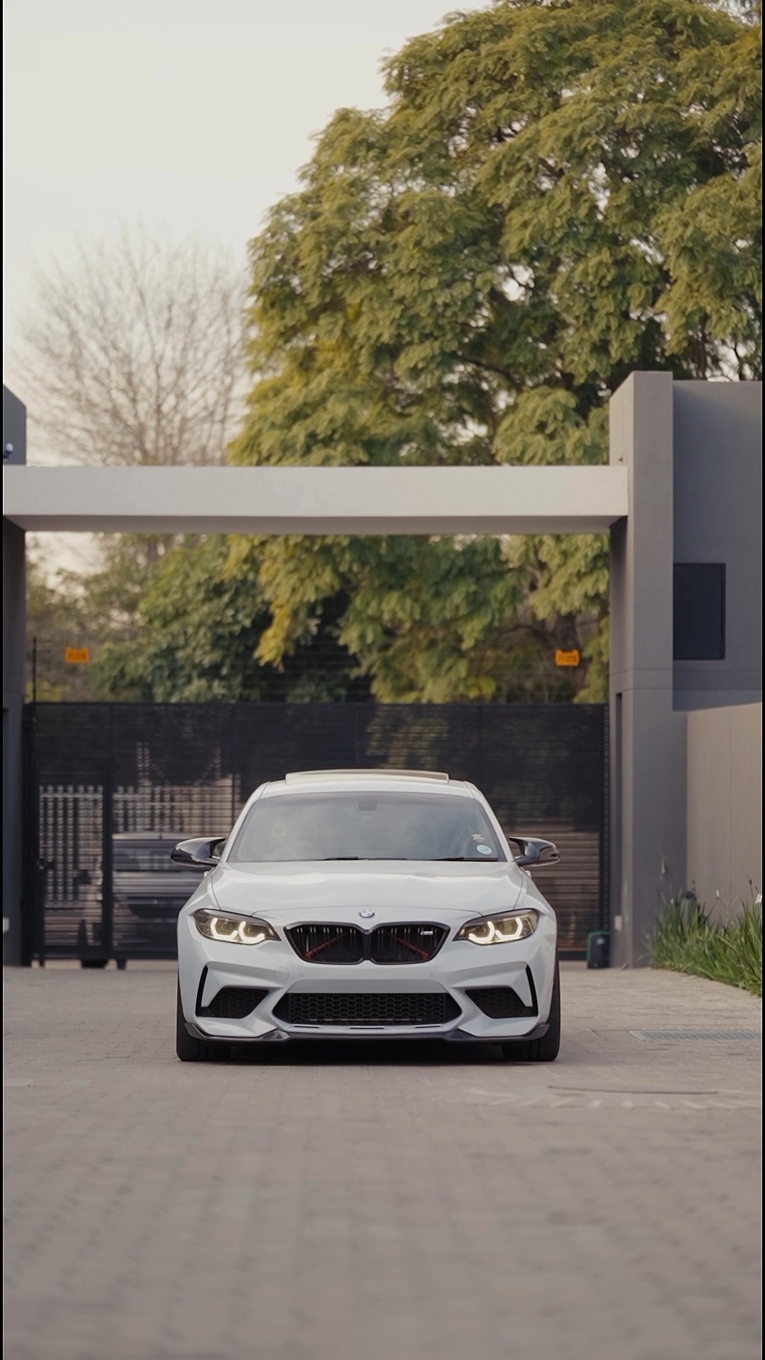 Thabang x Carsharenova